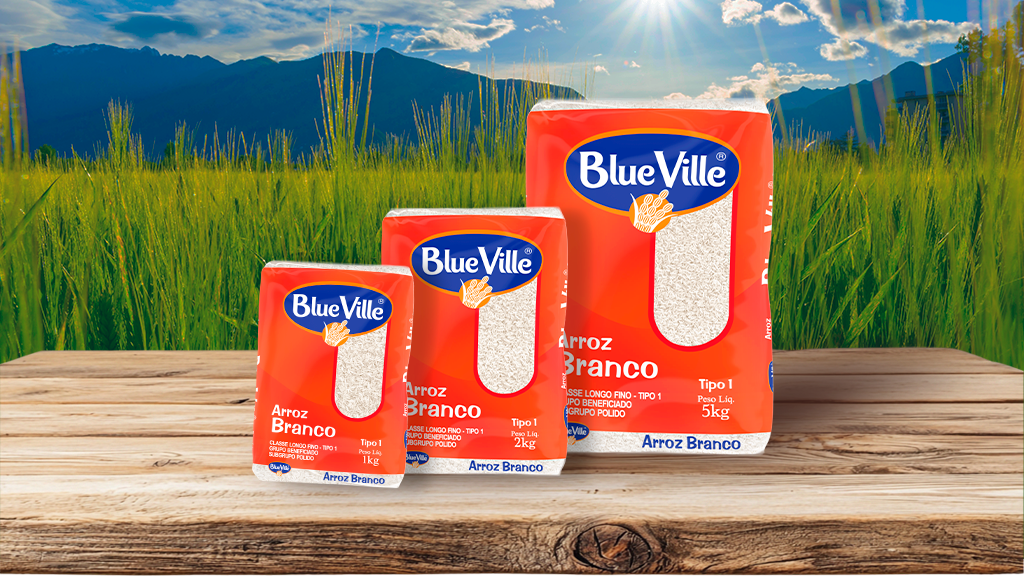 Criativo do case Blue Ville Alimentos